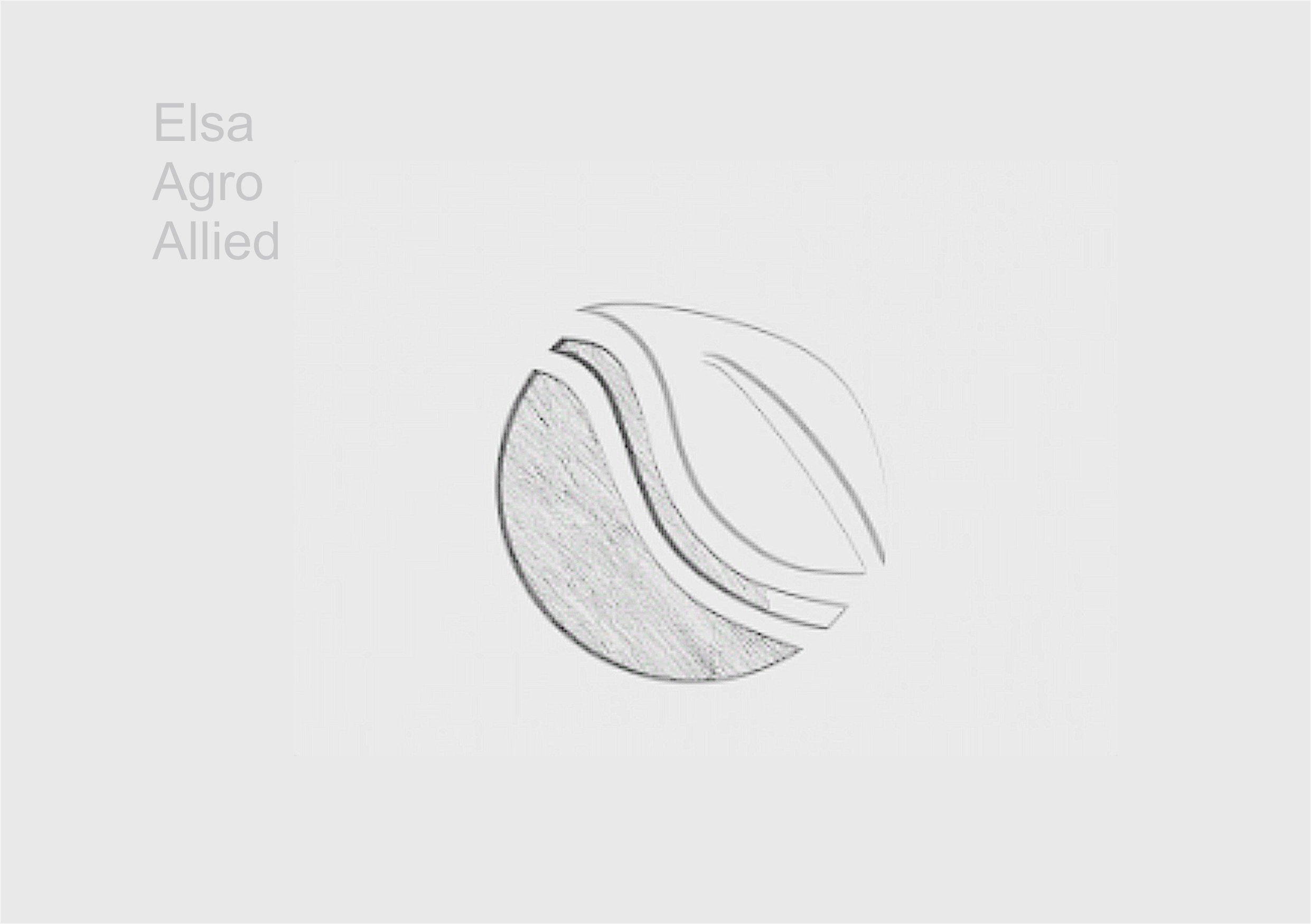 Elsa Agro Allied